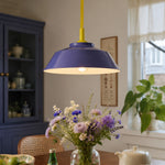 Carica l'immagine nella visualizzazione Galleria, Memphis pull-down pendant in a dining space